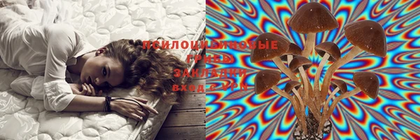 тгк Абаза